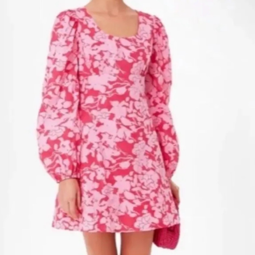 Hyacinth House Sienna Pink Floral Long-Sleeve A-Line Dress